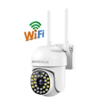 Видеонаблюдение для частного дома: что выбрать и как обеспечить безопасность